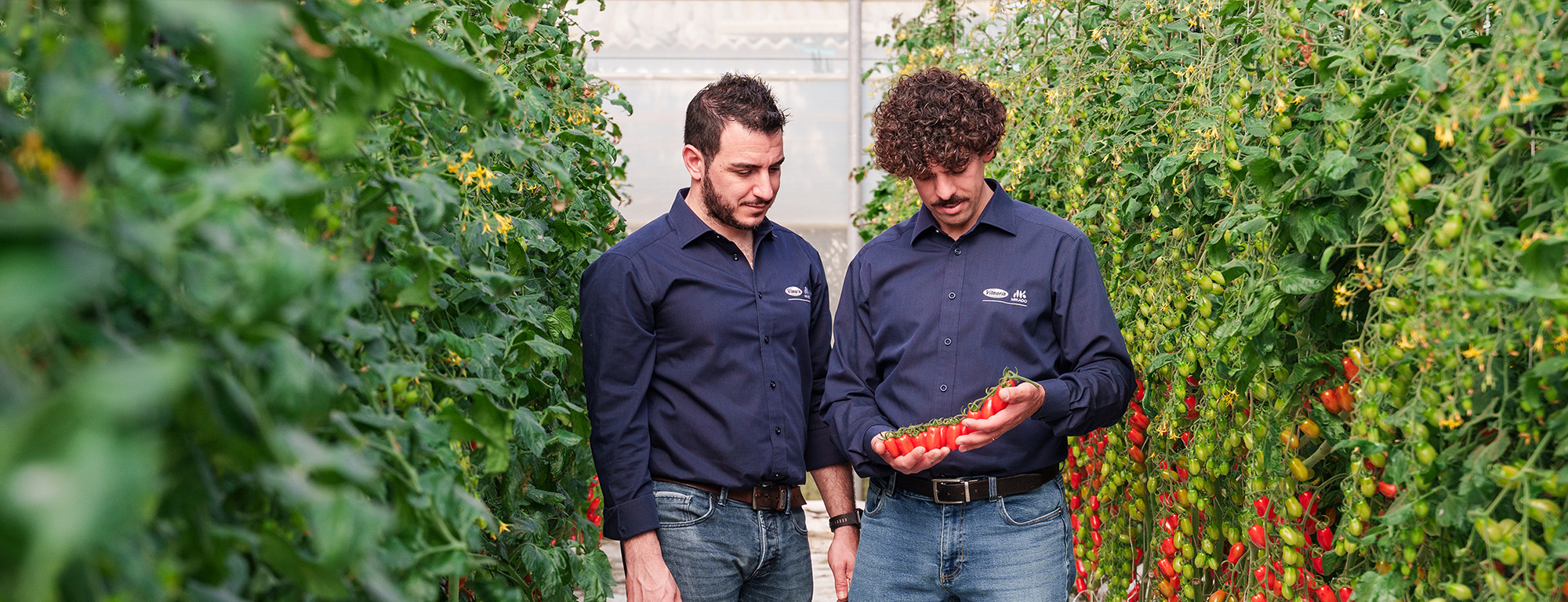 Le sementi orticole Vilmorin-Mikado a portata di click