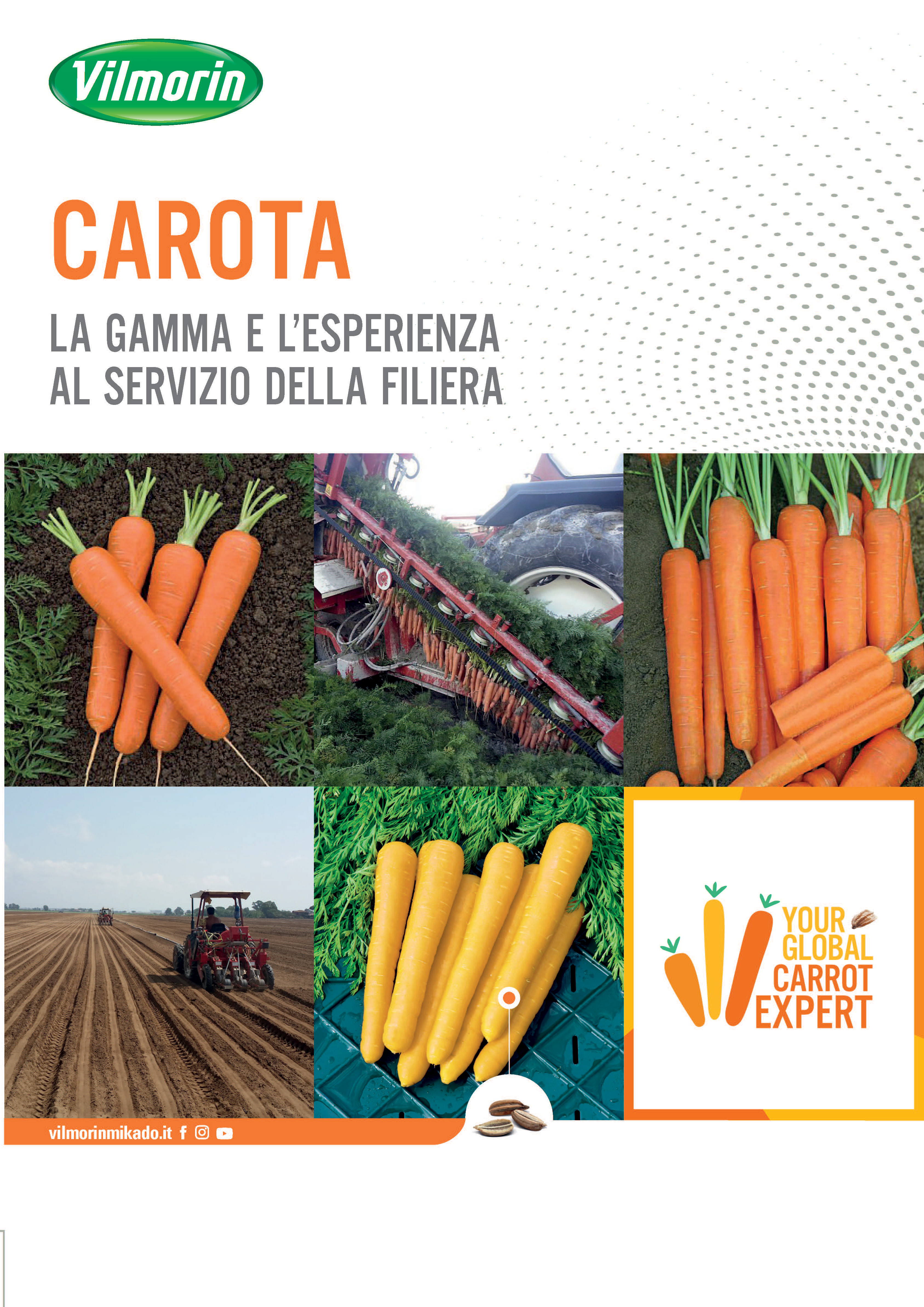 brochure carote