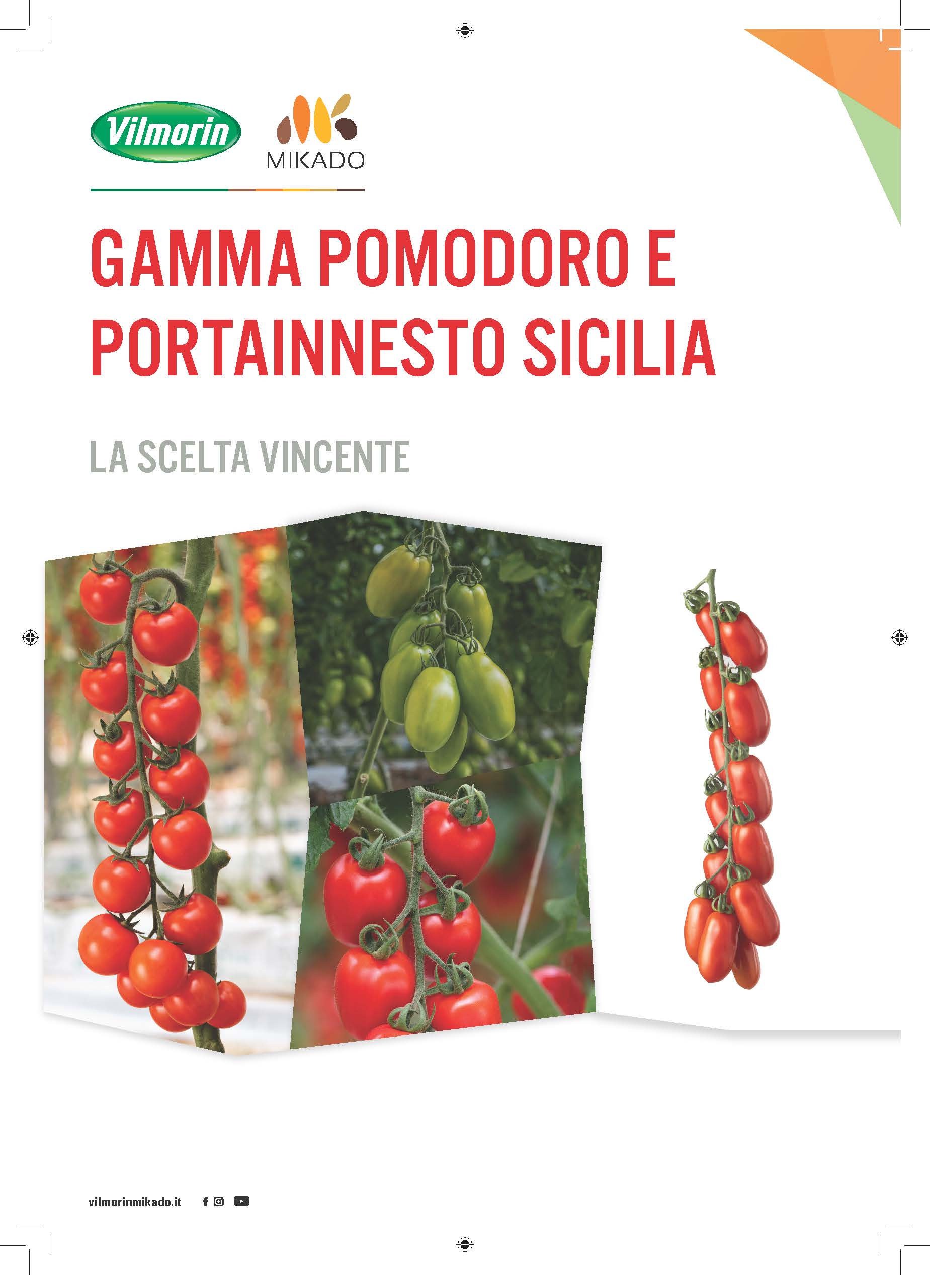 Brochure pomodoro e portainnesto Sicilia VMK 