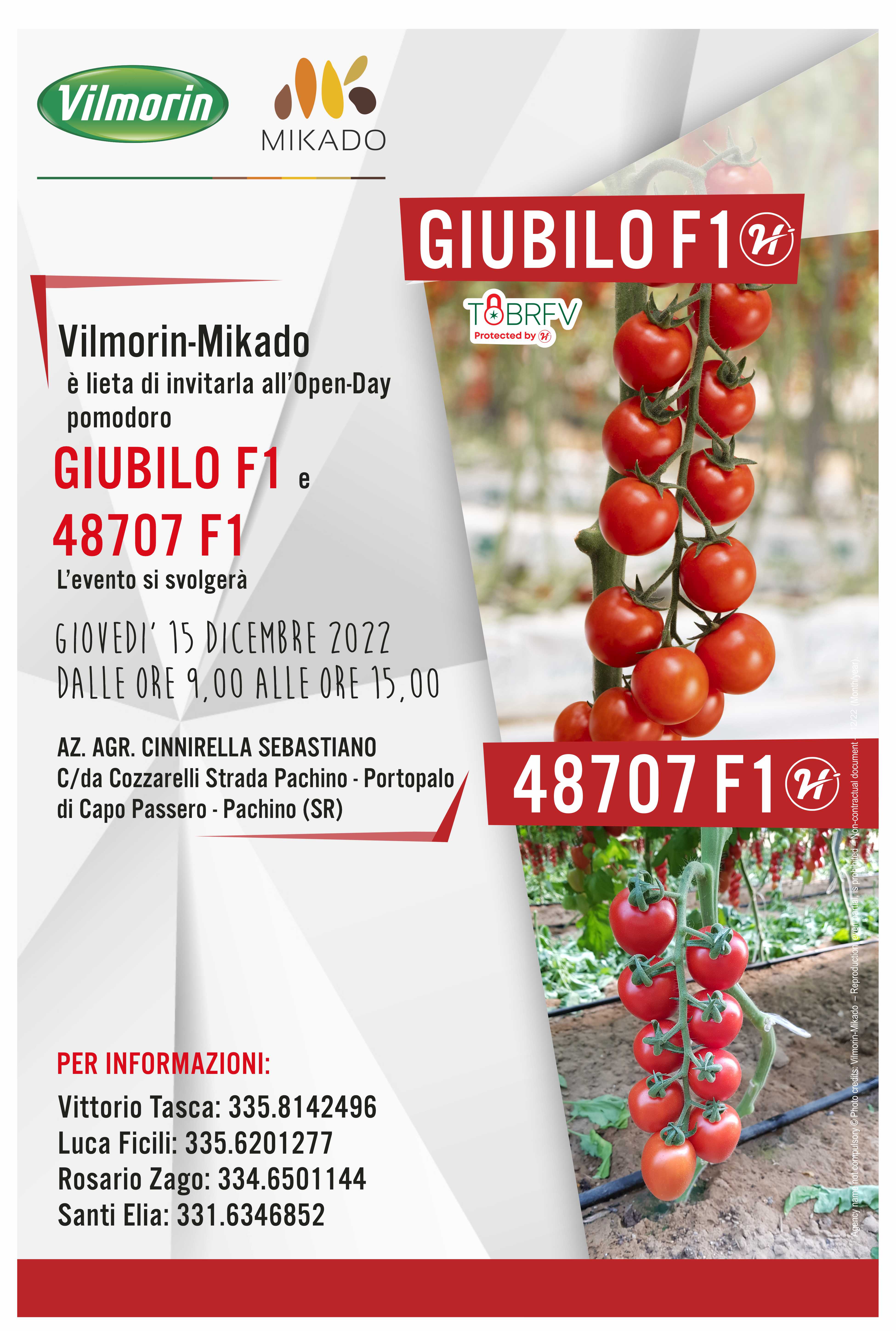 Locandina Serravetrina Pomodoro Giubilo e 49707