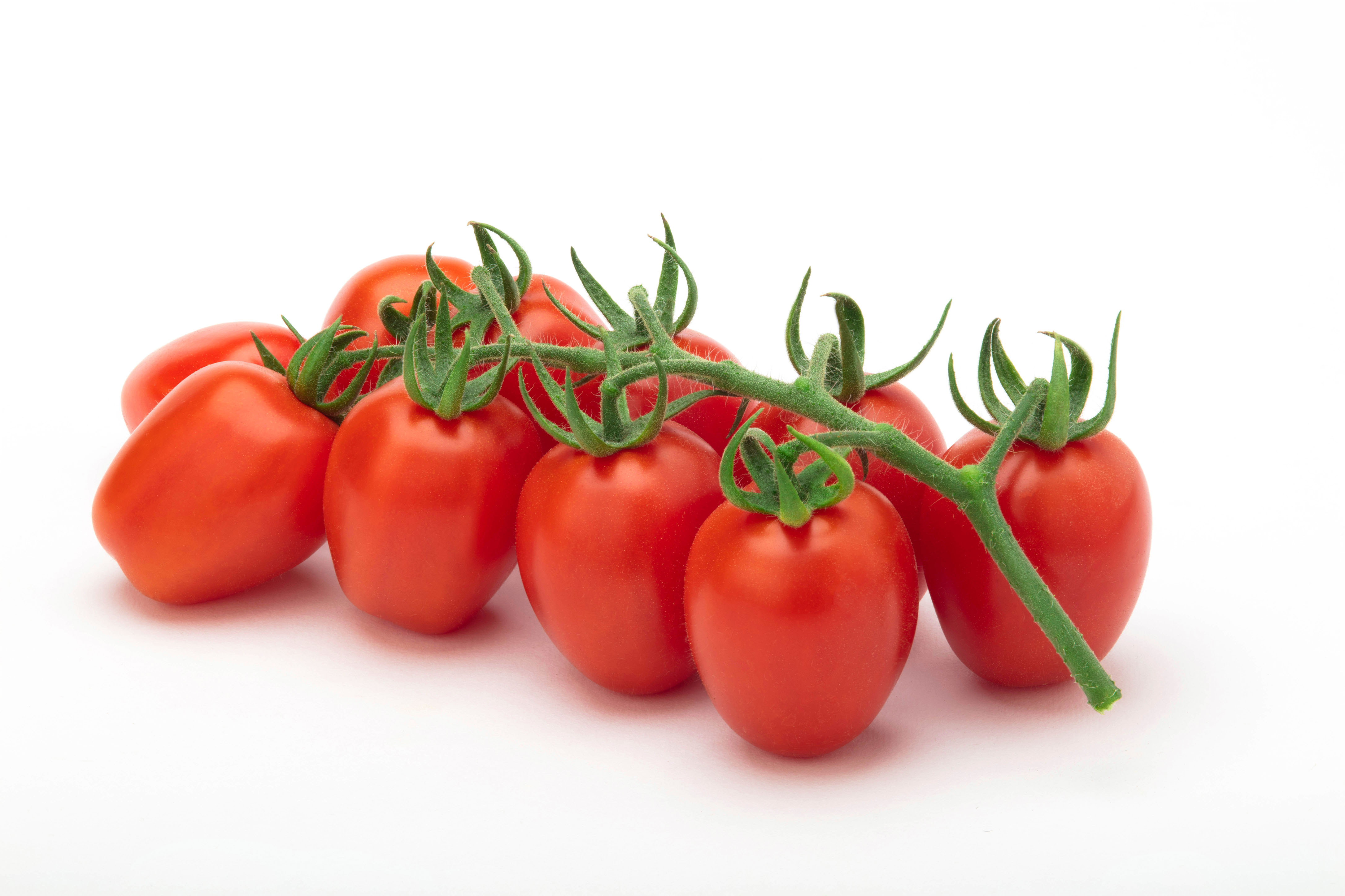 Pomodoro Teocle