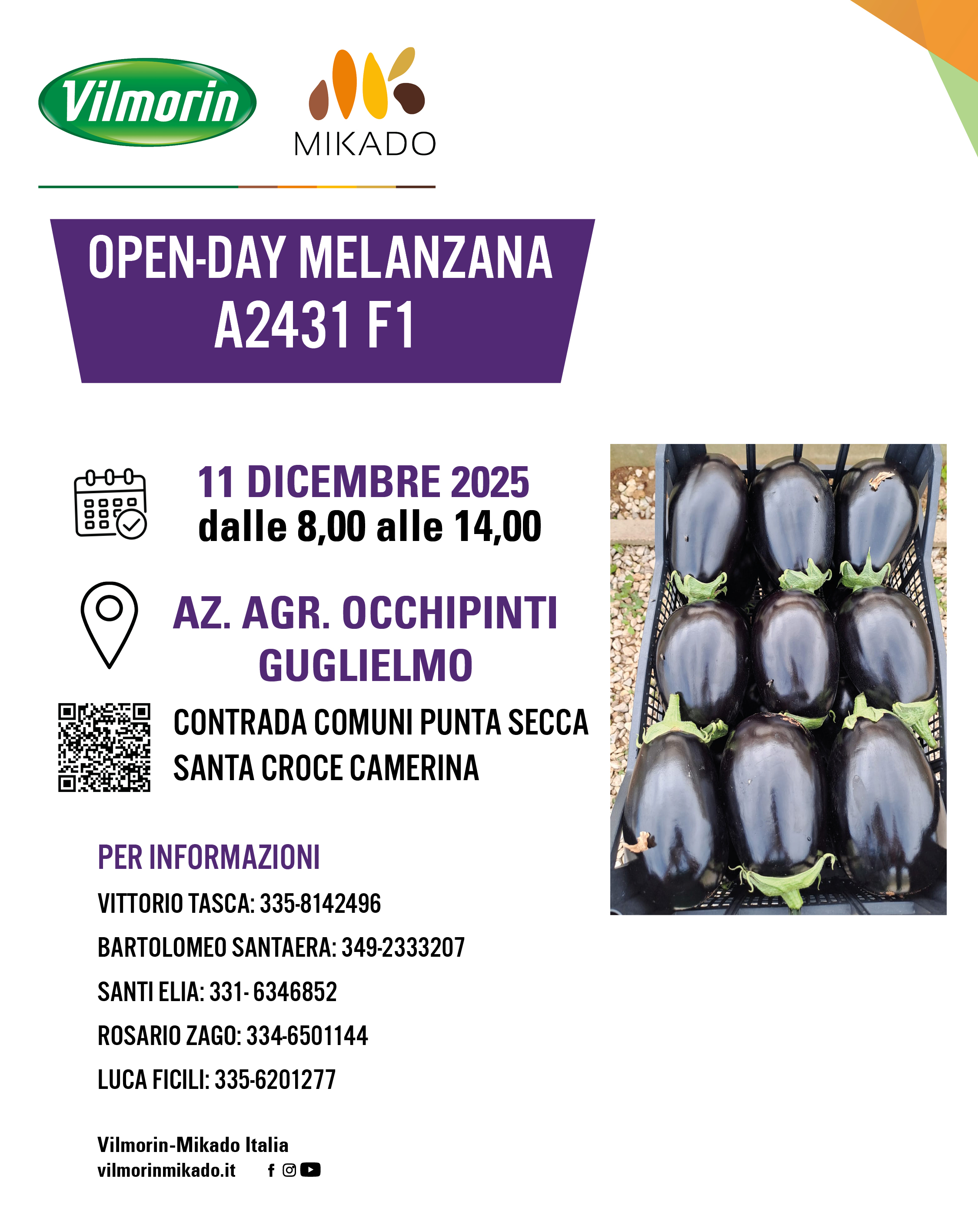 Invito Open-day melanzana A2431