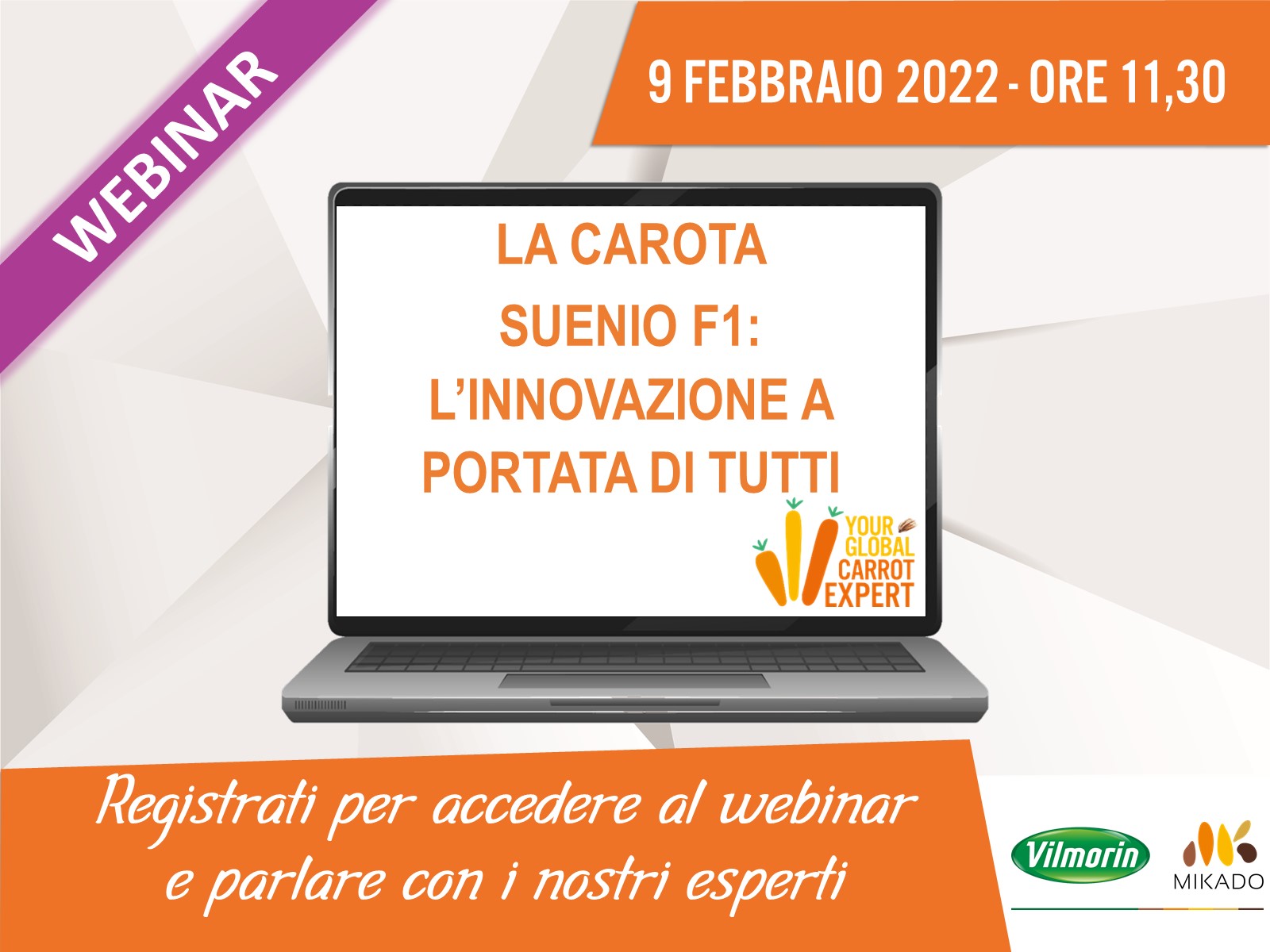 Webinar Suenio