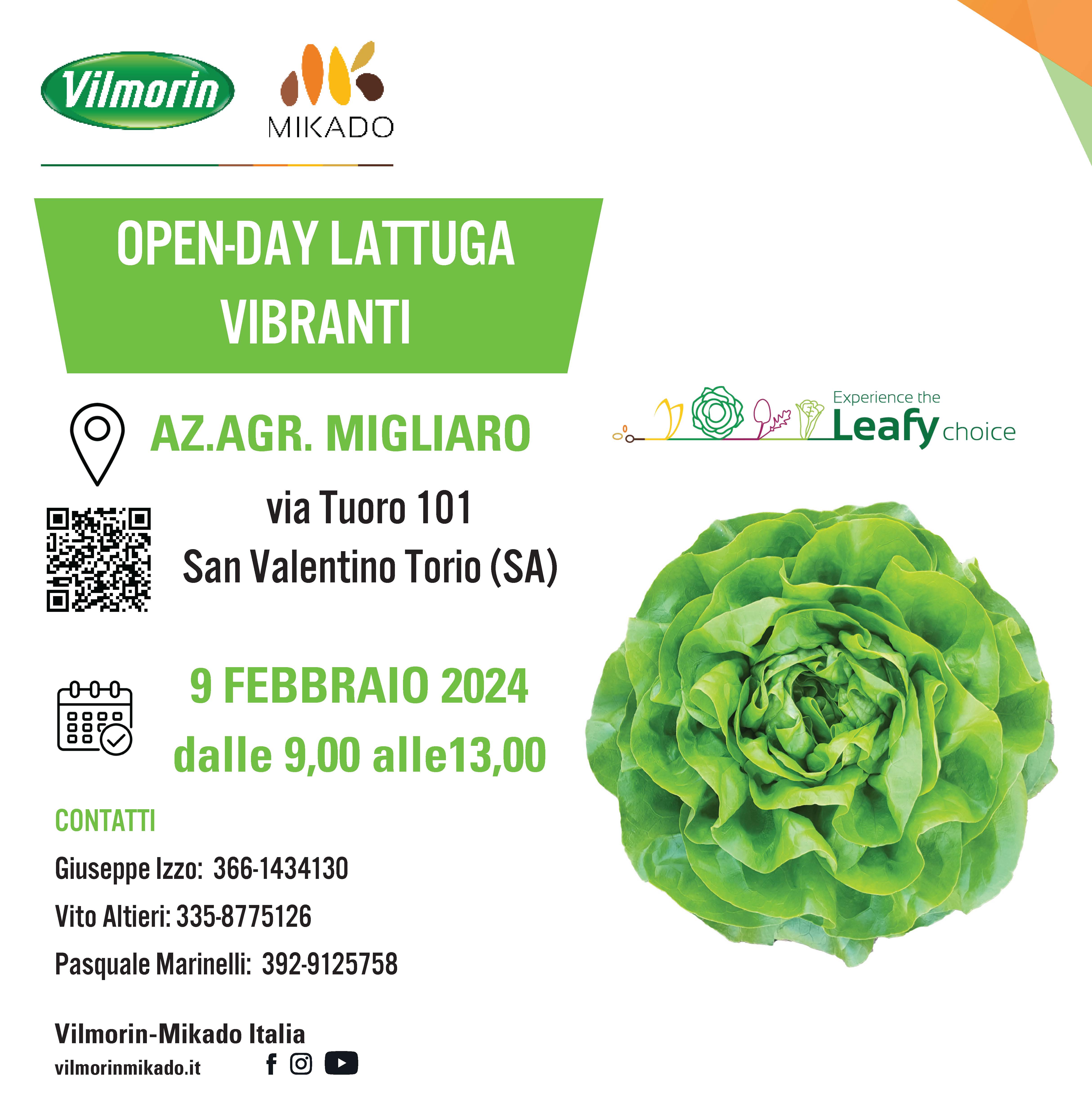 invito eventi lattuga vibranti