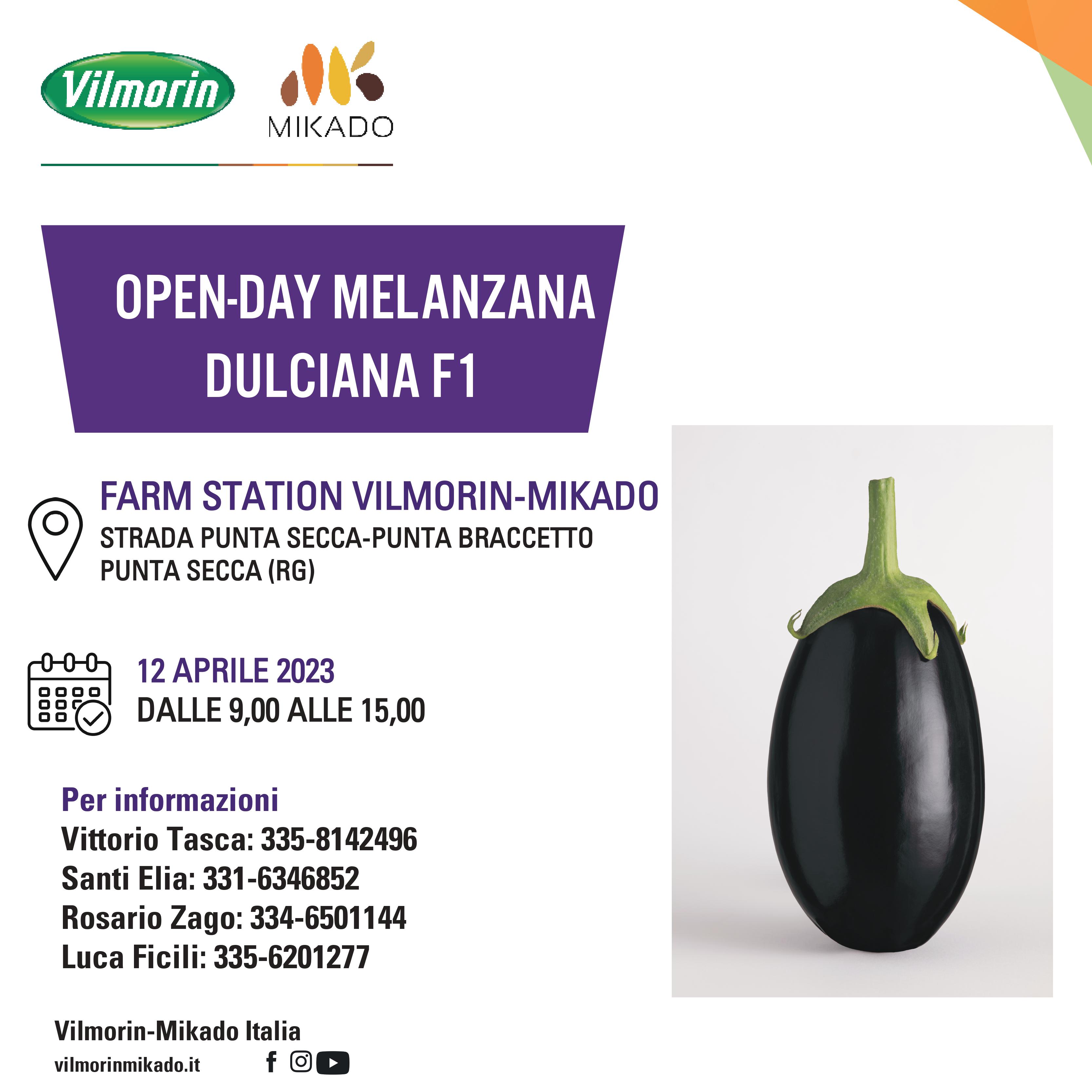 open-day Dulciana
