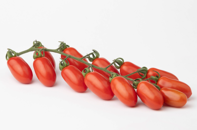 Morricone F1 Pomodoro datterino Morricone F1