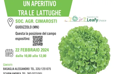 Un aperitivo tra le lattughe 