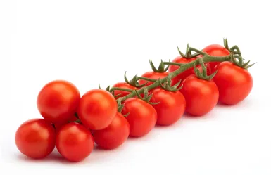 pomodoro Giubilo