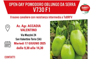 Invito V730 SAN VALENTINO TORIO 