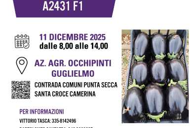 invito  open-day melanzana A2431  2025