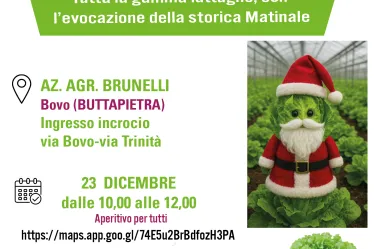 Invito lattughe da serra