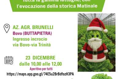 Invito lattughe da serra