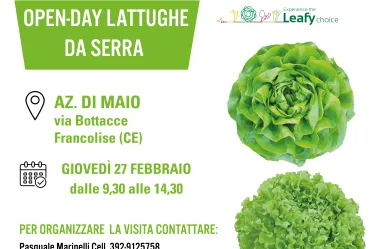 Invito open-day lattughe Francolise