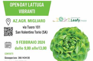 Open-day lattuga Vibranti