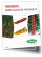 Brochure ciliegini 2022