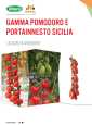 Copertina Pomodoro e Portainnesto Sicilia 2026