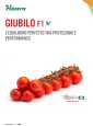 Cover brochure pomodoro Giubilo 2025