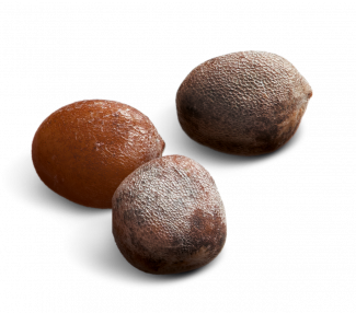 semi di cavolo