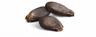 semi di anguria