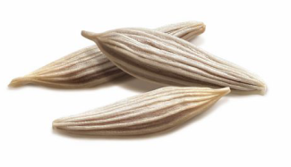 semi di lattuga