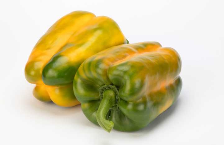 peperone Anfiarao di Vilmorin-Mikado