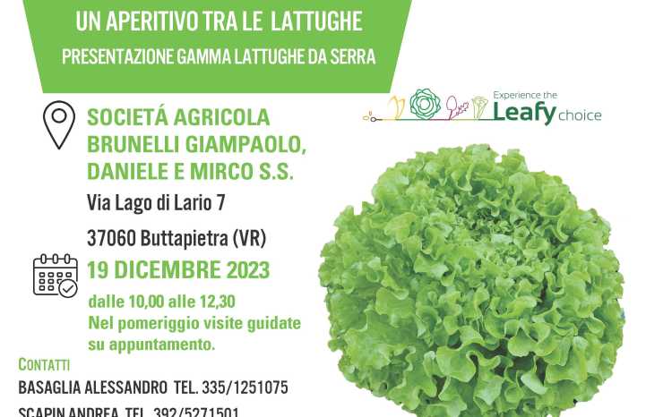 INVITO LATTUGHE VERONA