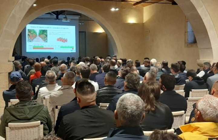 Evento solanacee Vilmorin-Mikado Italia 2023