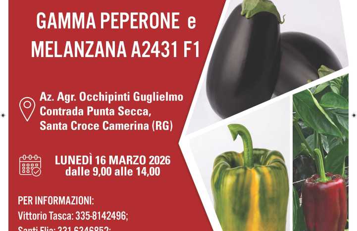 invito open-day peperone e melanzana 