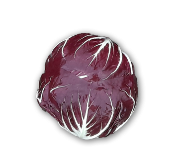 Radicchio