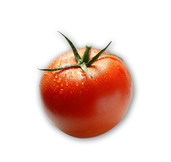 Pomodoro