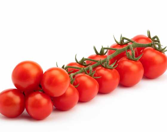 Pomodoro Giubilo F1 Pomodoro Giubilo F1