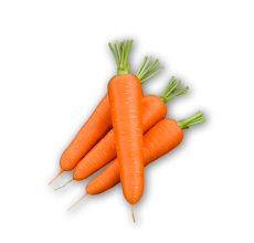 CAROTA